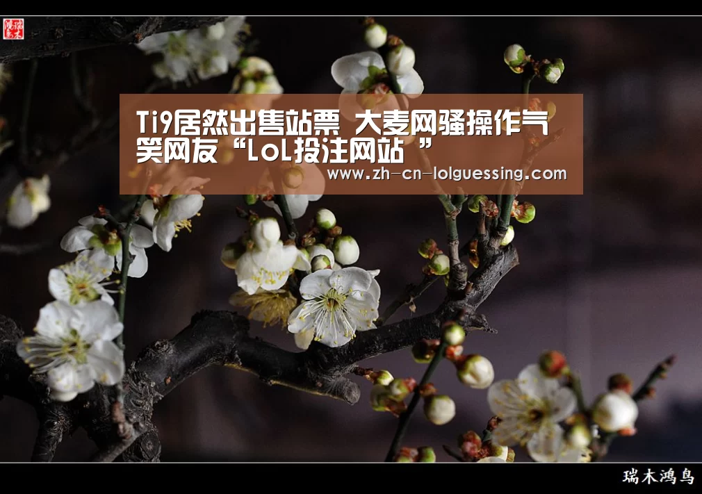 Ti9居然出售站票 大麦网骚操作气笑网友“LoL投注网站 ”(图4) 2026年最佳英雄联盟投注网站