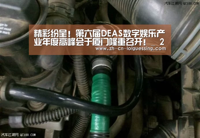 LoL投注网站 