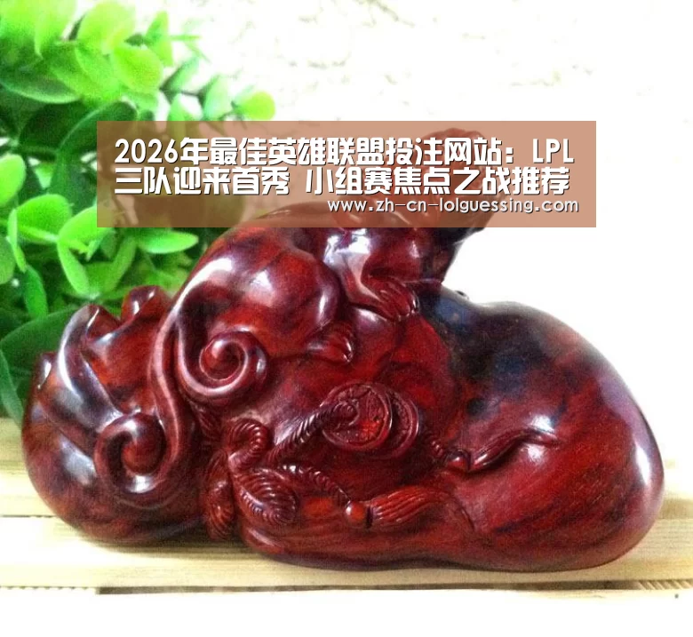 LoL投注网站 