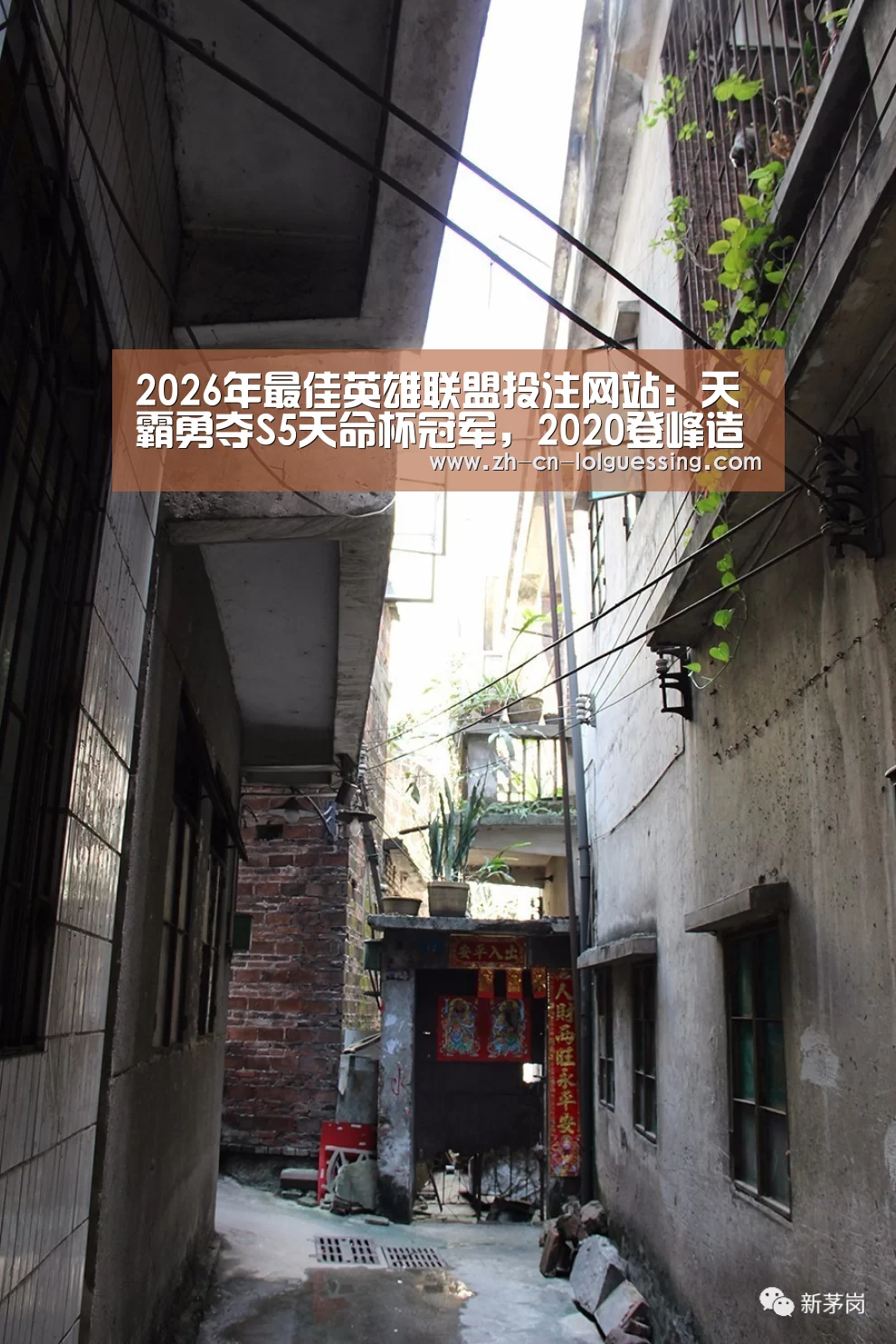 2026年最佳英雄联盟投注网站:天霸勇夺S5天命杯冠军,2020登峰造极指日可待(图1) 2026年最佳英雄联盟投注网站