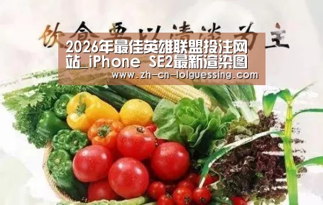 LoL投注网站 