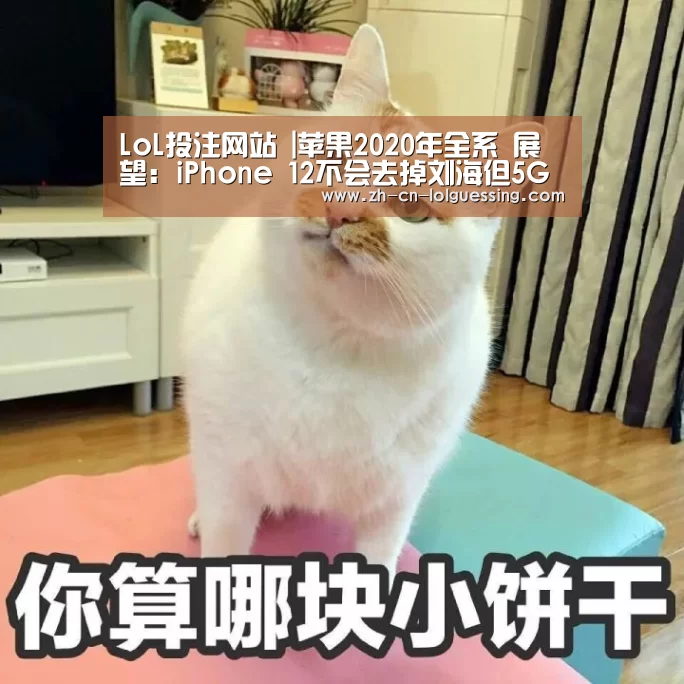 LoL投注网站 |苹果2020年全系 展望:iPhone 12不会去掉刘海但5G是必须的(图4) 2026年最佳英雄联盟投注网站