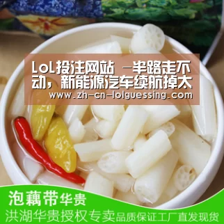 LoL投注网站 