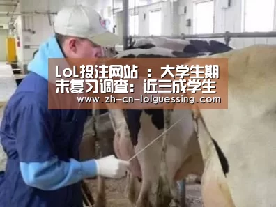 LoL投注网站 