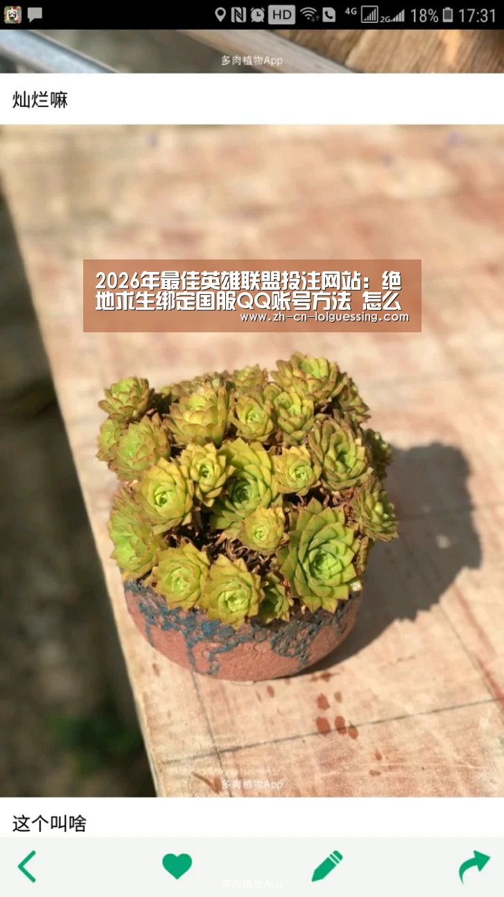  2026年最佳英雄联盟投注网站