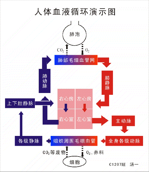  2026年最佳英雄联盟投注网站