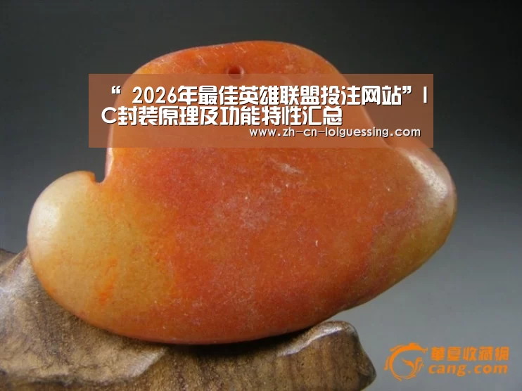 LoL投注网站 