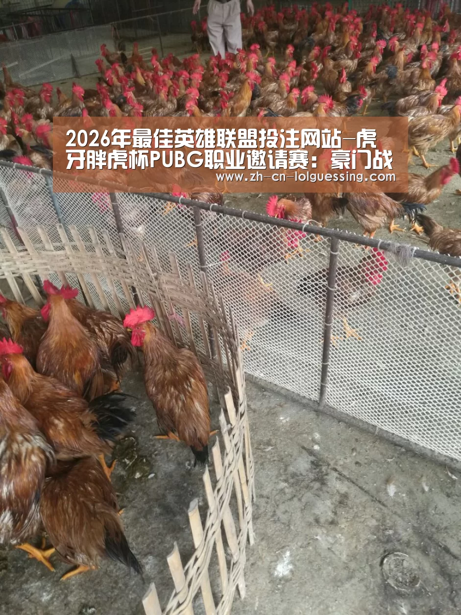 2026年最佳英雄联盟投注网站-虎牙胖虎杯PUBG职业邀请赛:豪门战队齐聚打响冠军争夺战(图2) 2026年最佳英雄联盟投注网站